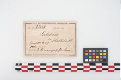 Etikett zu Bronzedoppelscheibenfibel (NHMW-PRAE-025558)